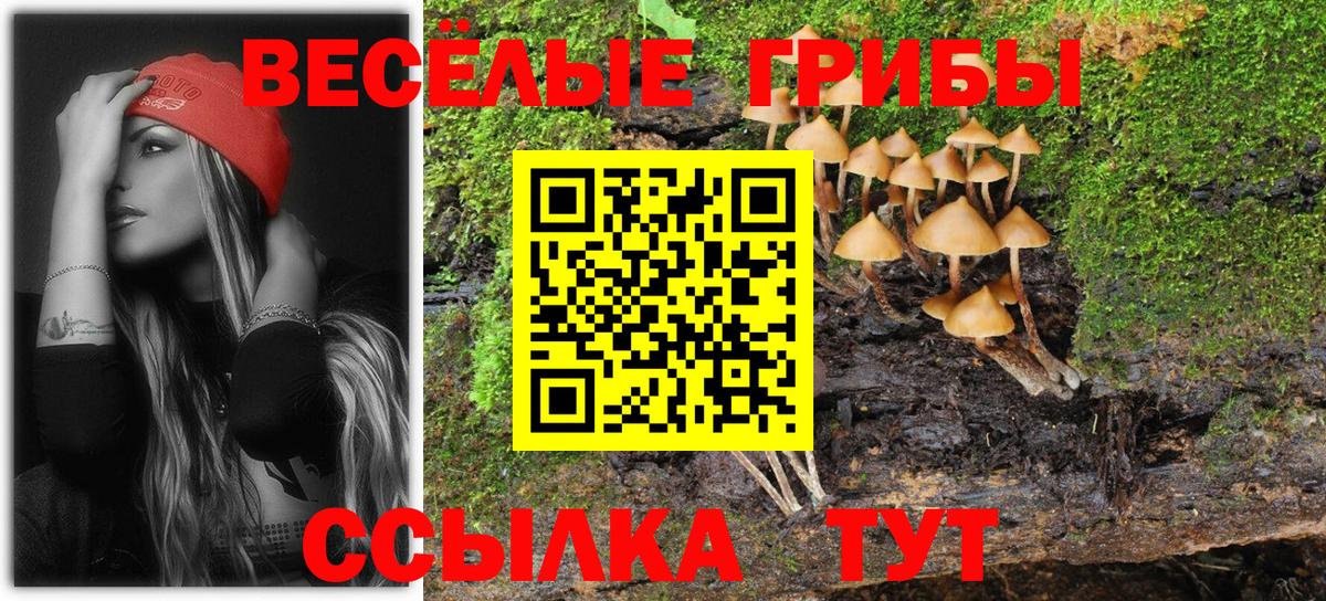 Галлюциногенные грибы Cubensis Новочеркасск
