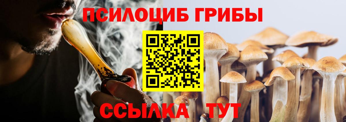 Галлюциногенные грибы MAGIC MUSHROOMS  Галлюциногенные грибы Psilocybine cubensis  Новочеркасск  Вход с VPN 